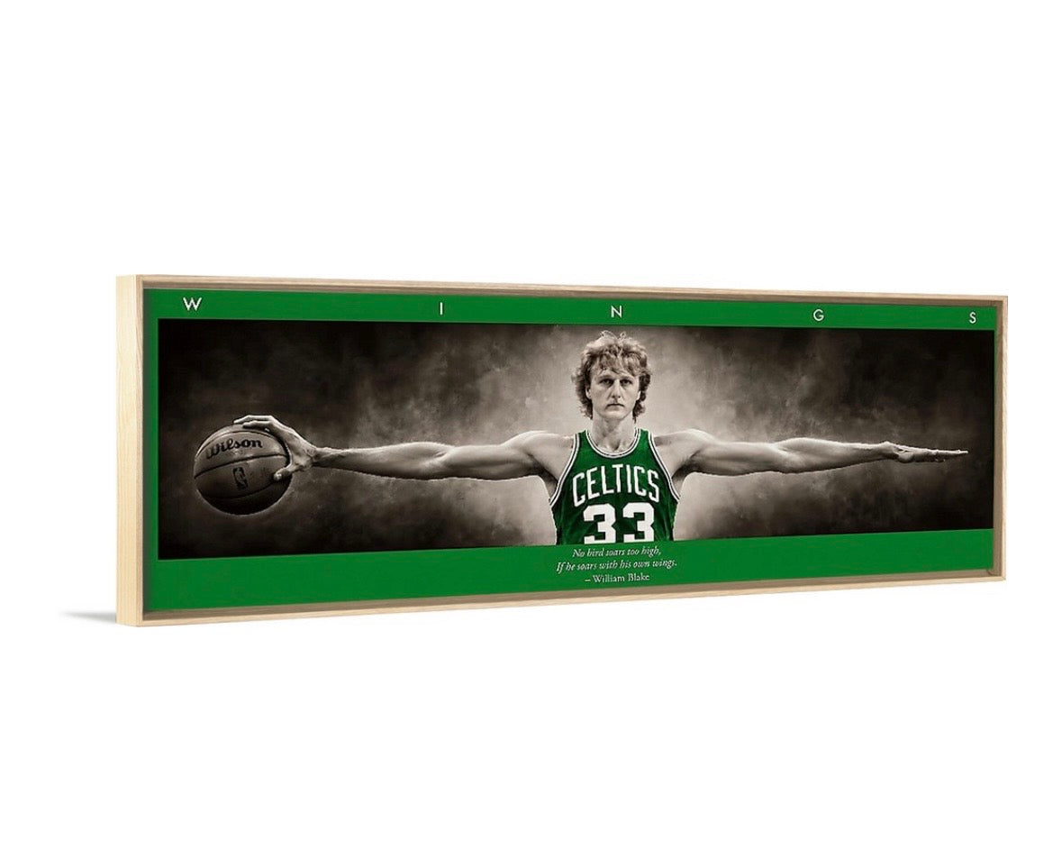 Larry Birds Wings (Color Edition)
