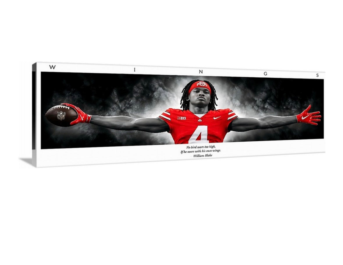 Buckeye WINGS