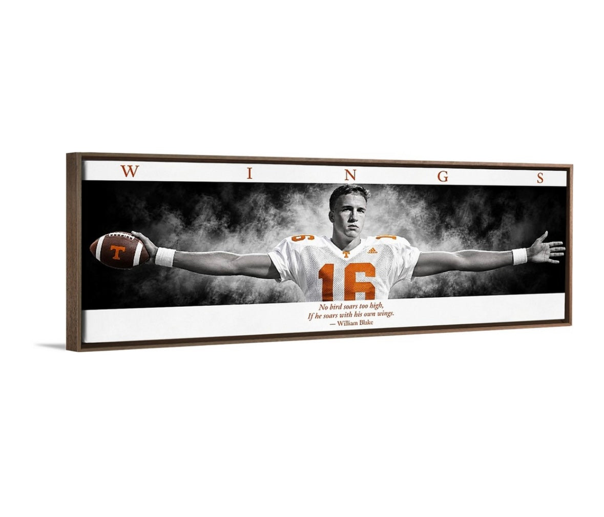 Tennessee WINGS