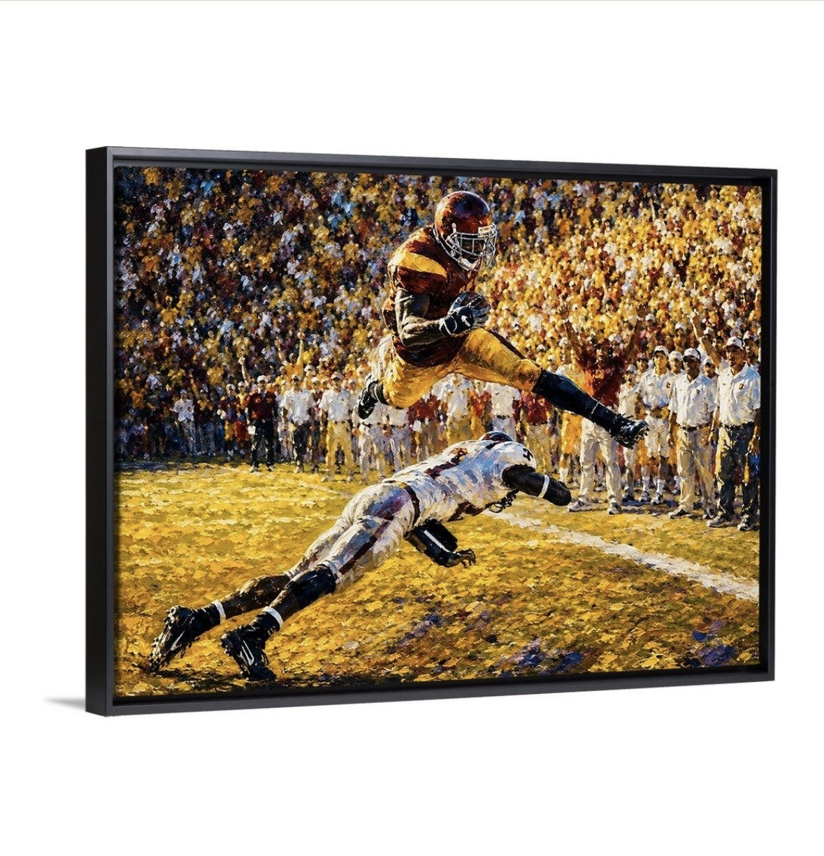 Reggie Bush Hurdle
