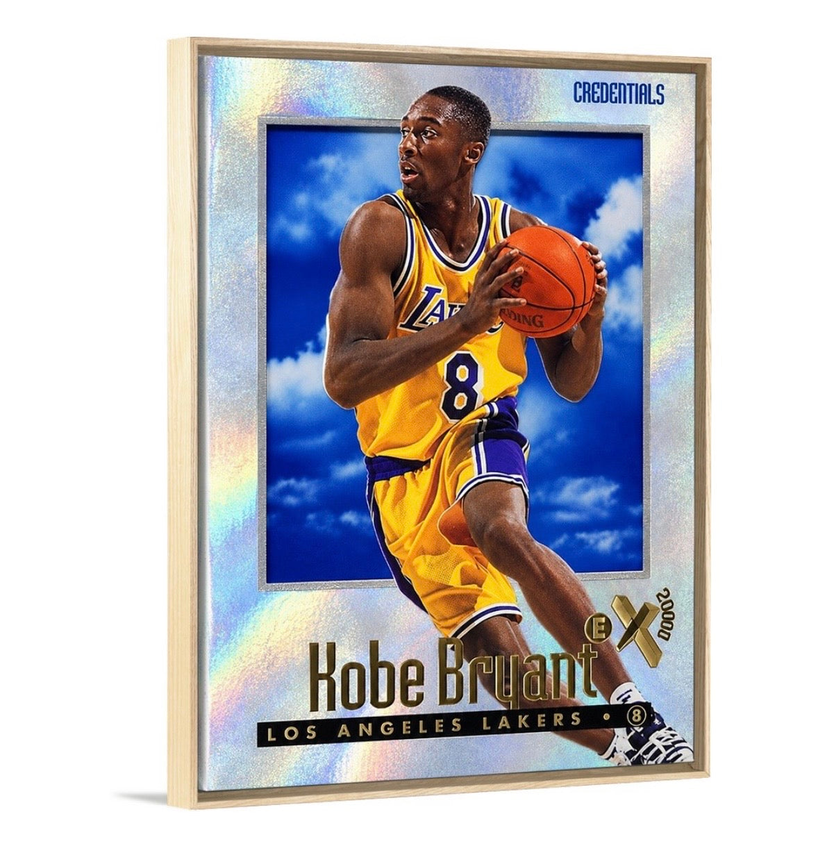 Kobe '96 eX2000 Credentials