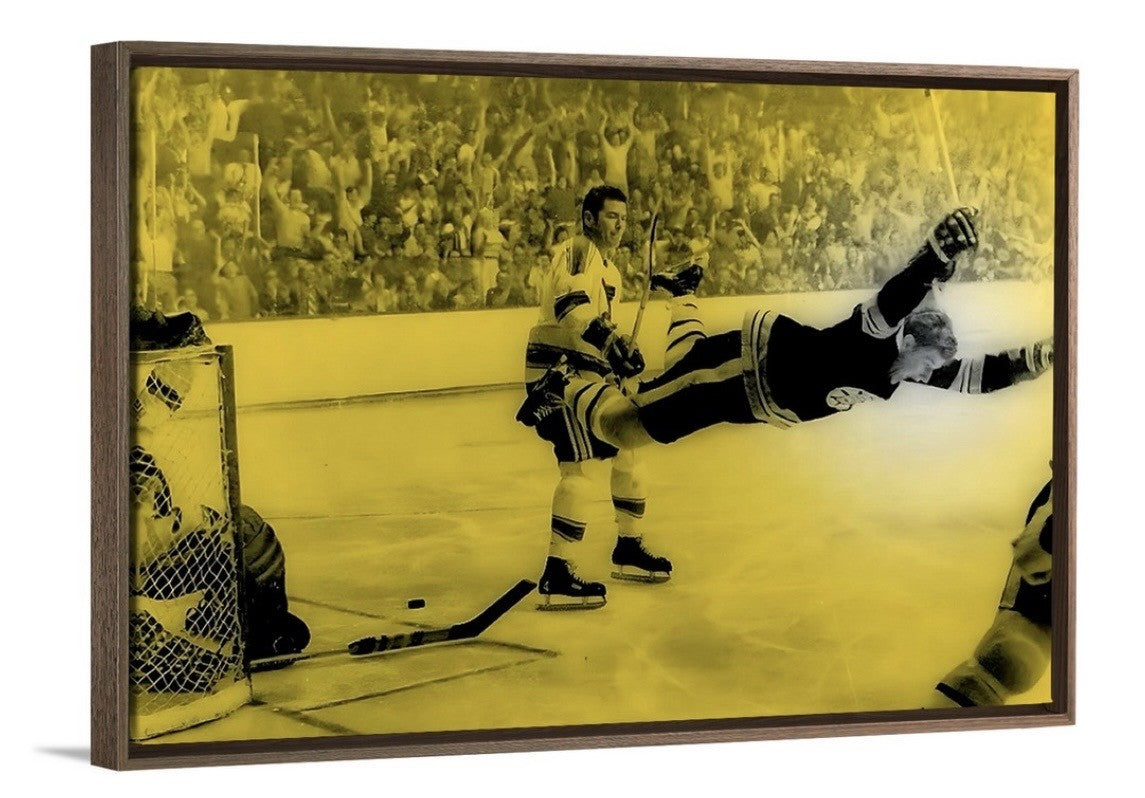 Flying Goal