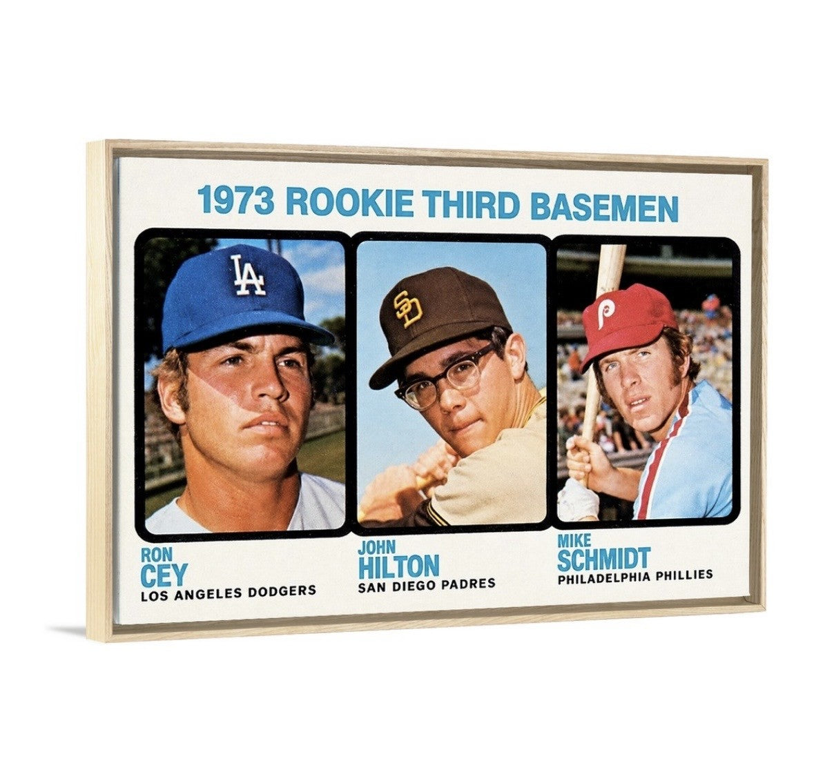 Mike Schmidt '73