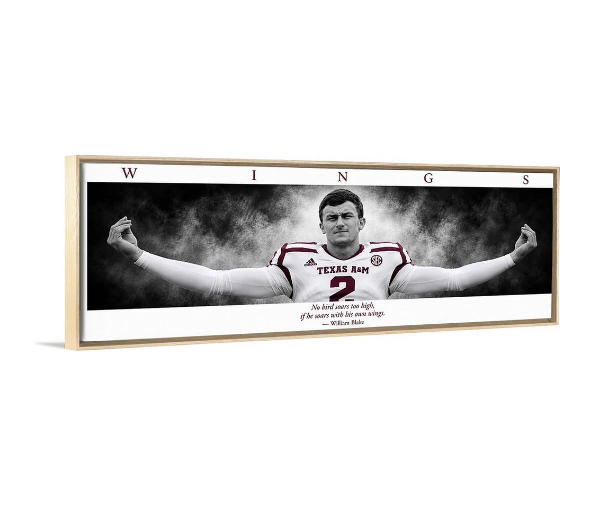Money Manziel WINGS