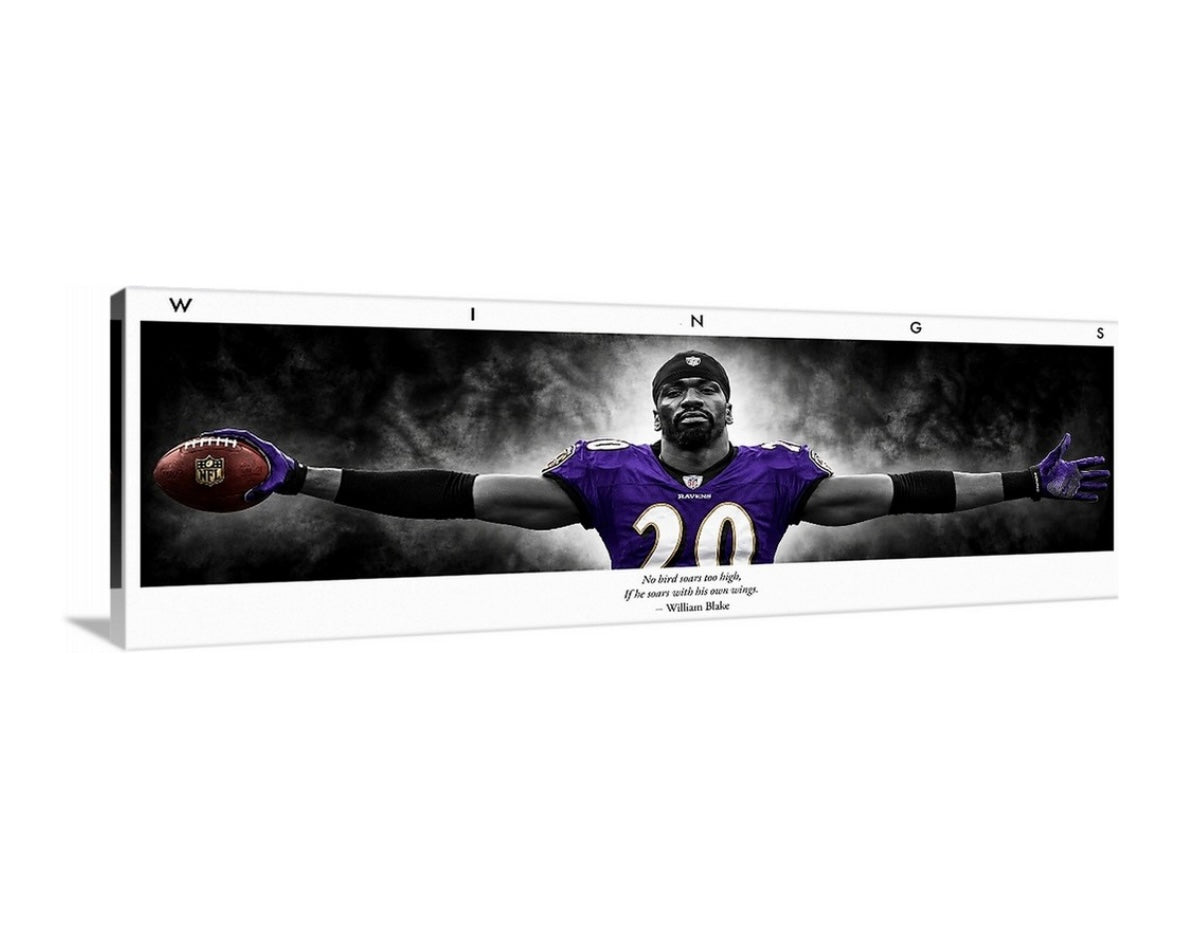 Ed Reed WINGS