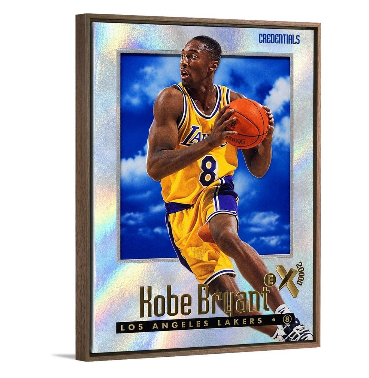 Kobe '96 eX2000 Credentials