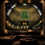 A Night in Ann Arbor