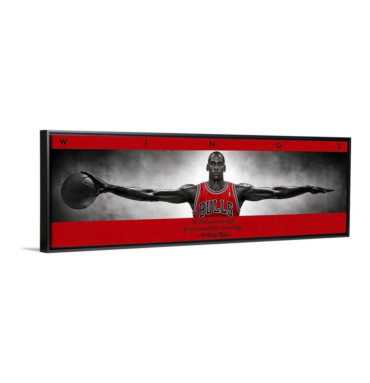 Jordan Wings (BRED Edition)