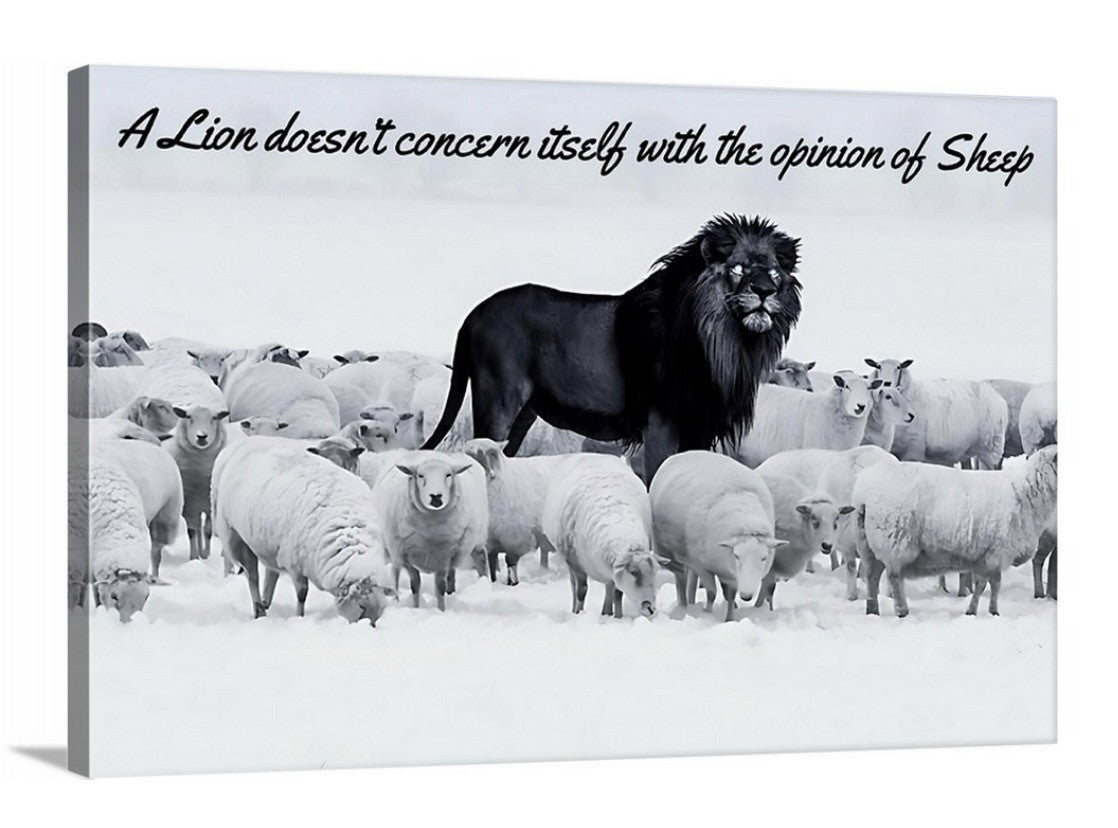 Lion among Sheep