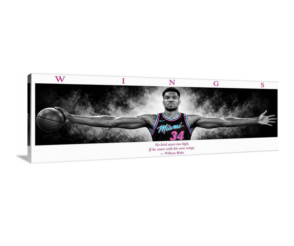 Giannis Miami WINGS