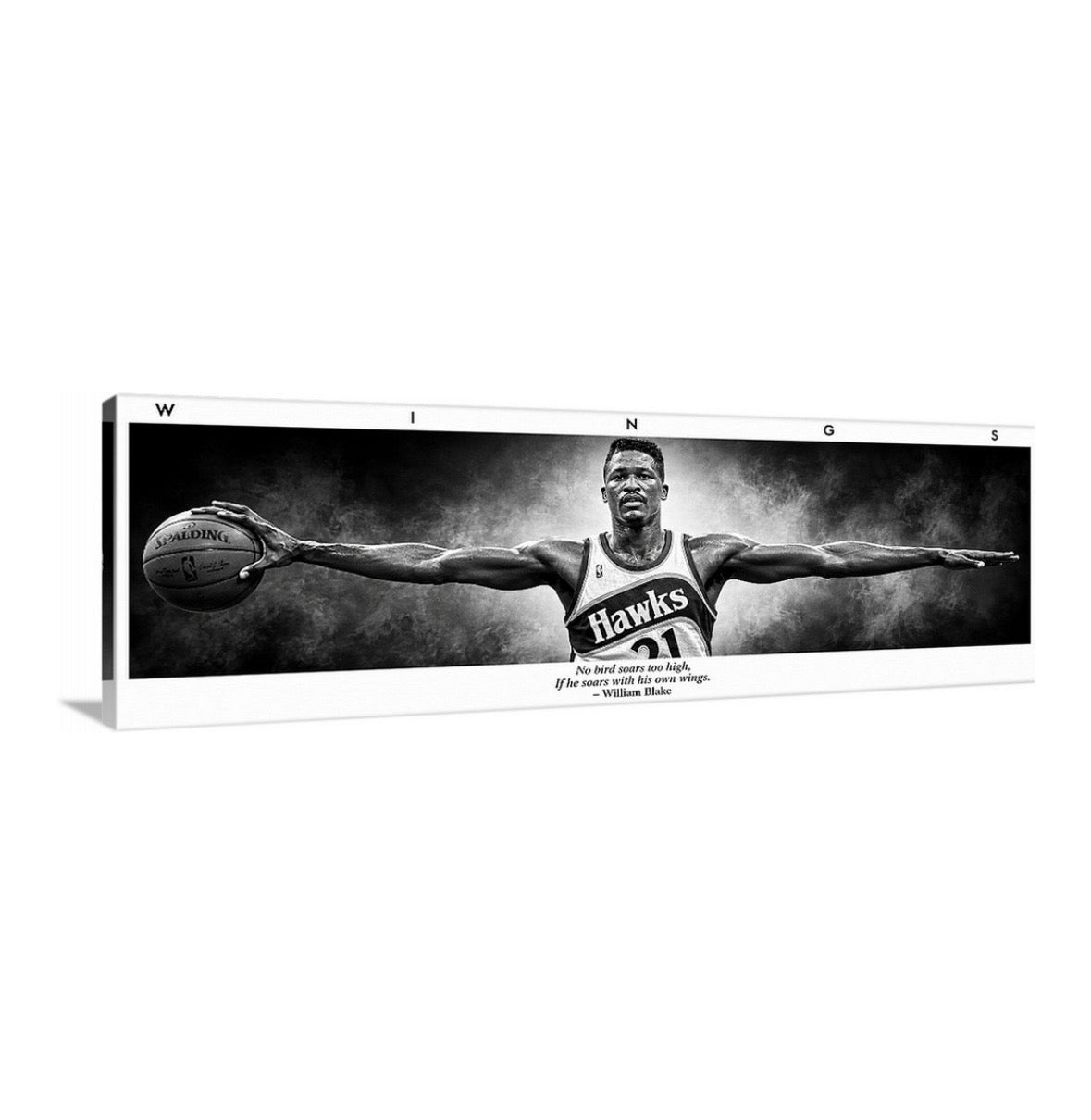 Dominique Wilkins Wings