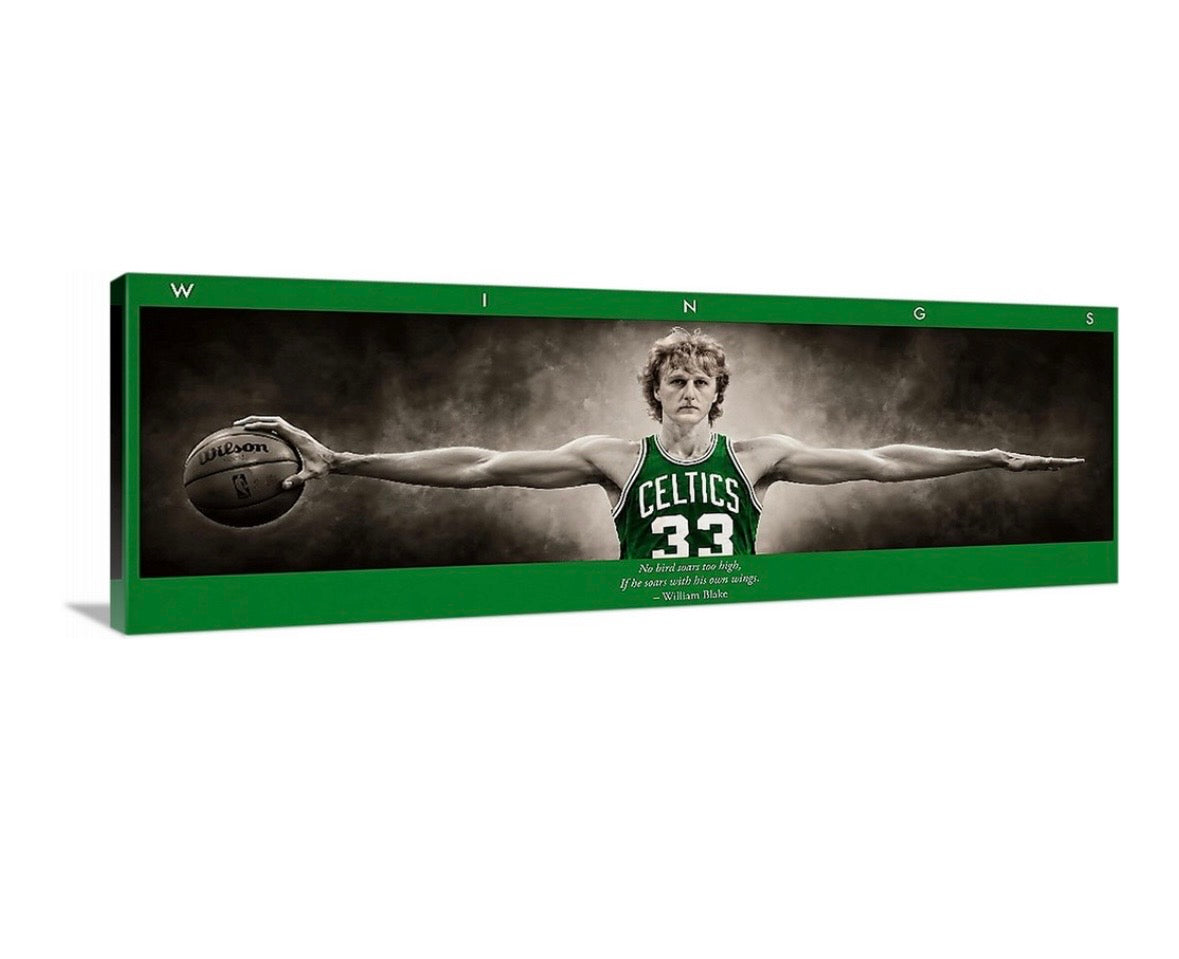 Larry Birds Wings (Color Edition)