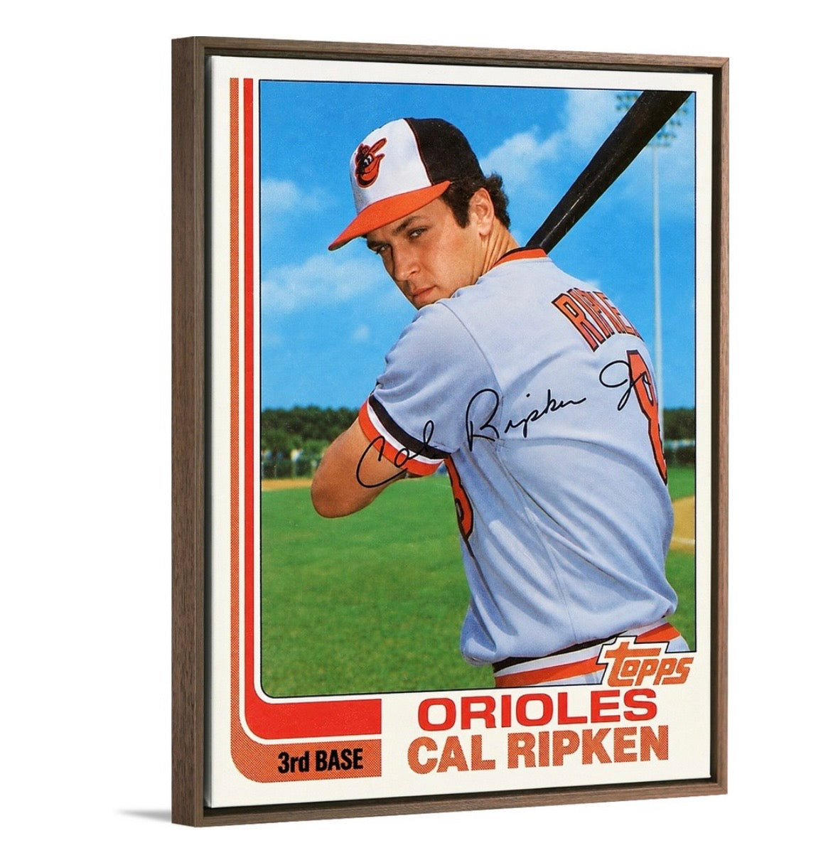 Cal Ripken ‘82