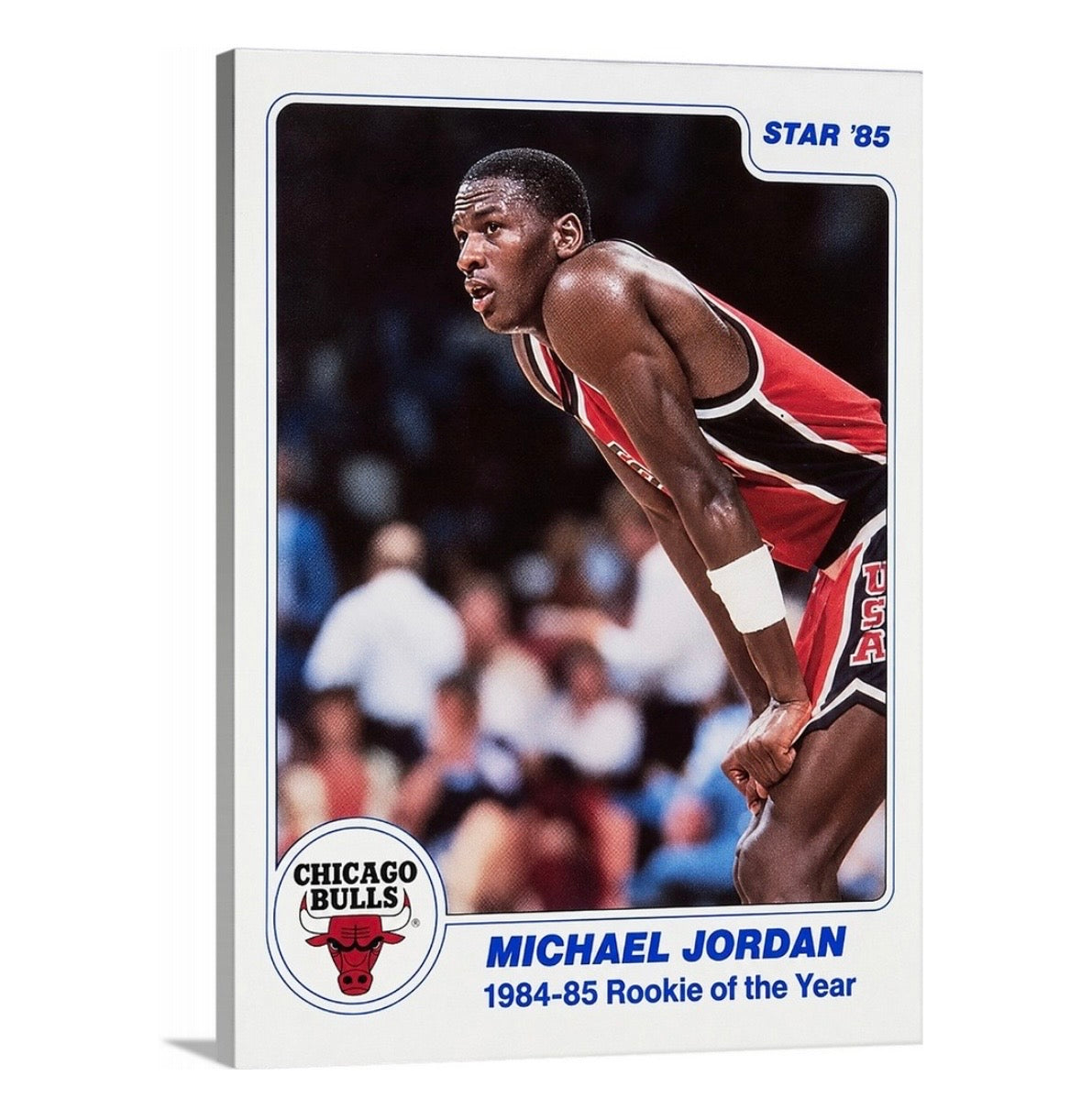 Jordan '85 Star 10pc Rookie Set