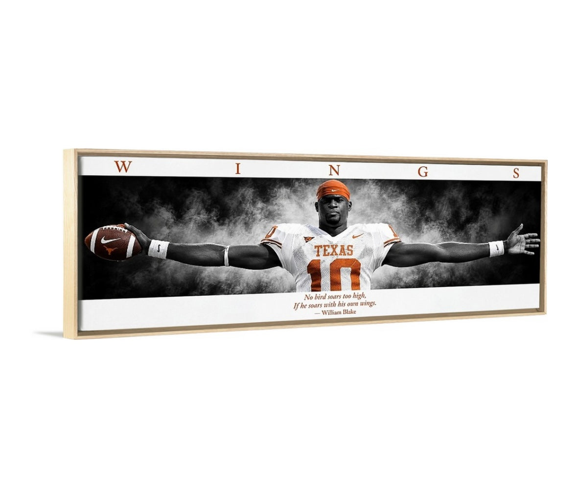 Longhorn WINGS