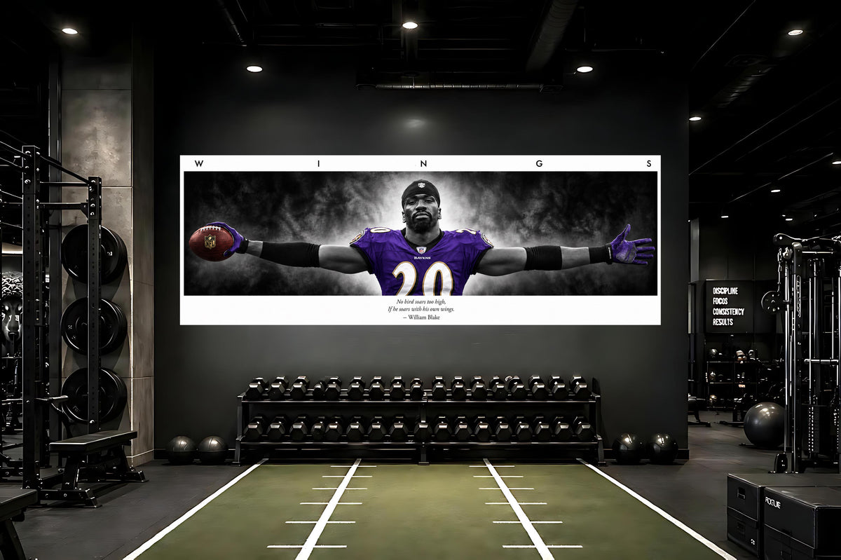 Ed Reed WINGS