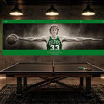 Larry Birds Wings (Color Edition)