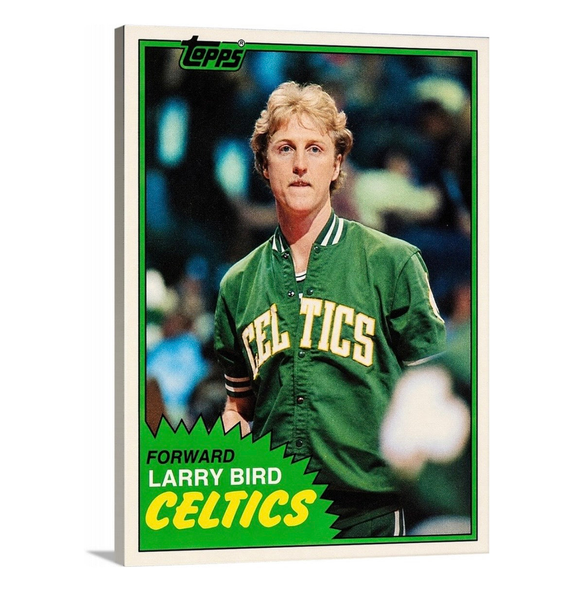 Bird '81