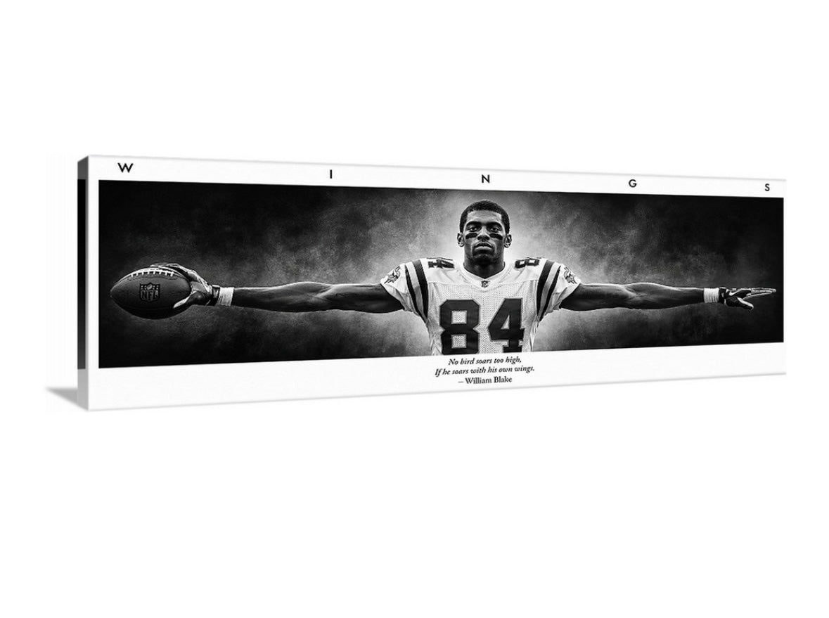 Randy Moss Wings