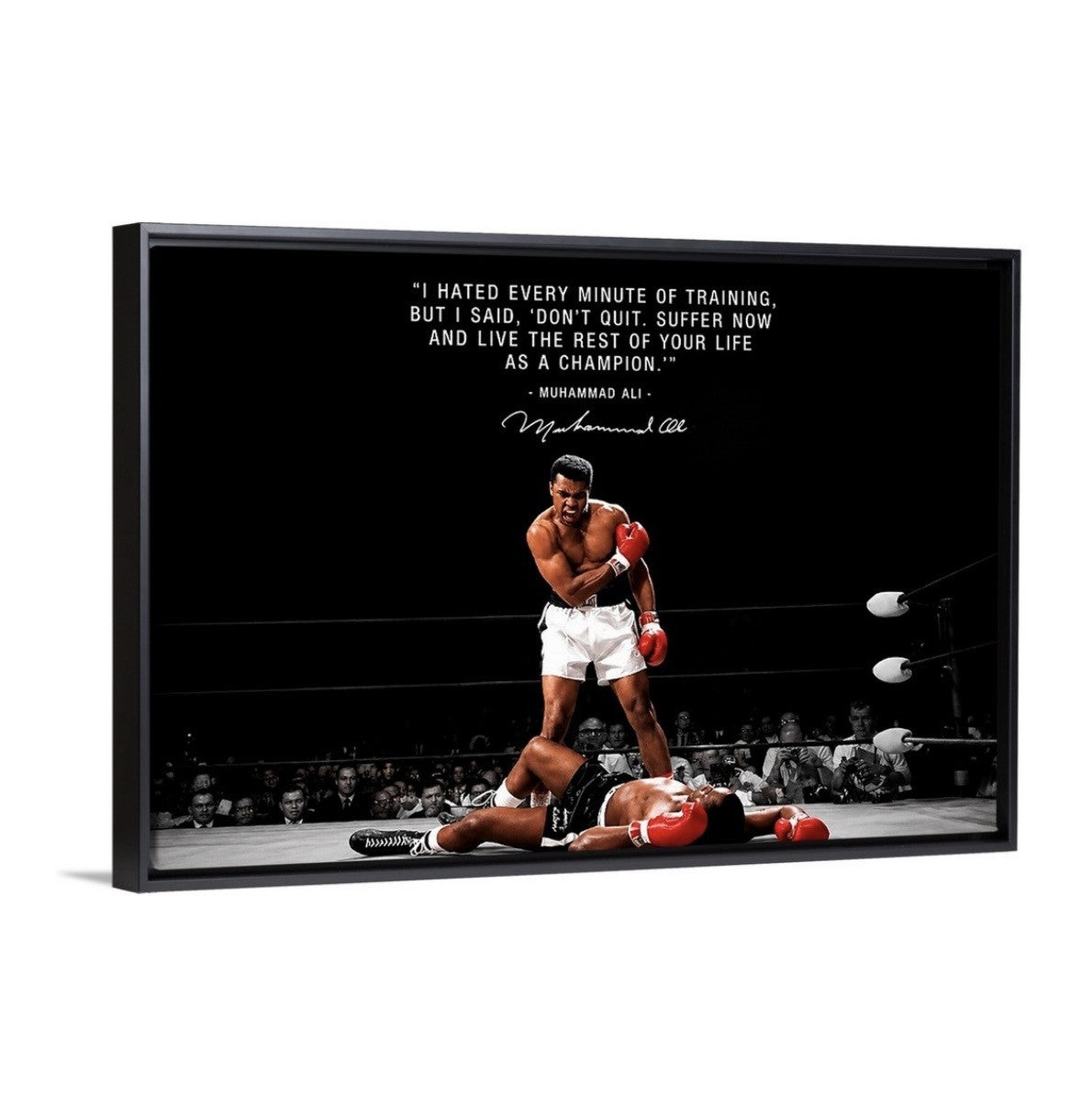 A Champions Creed