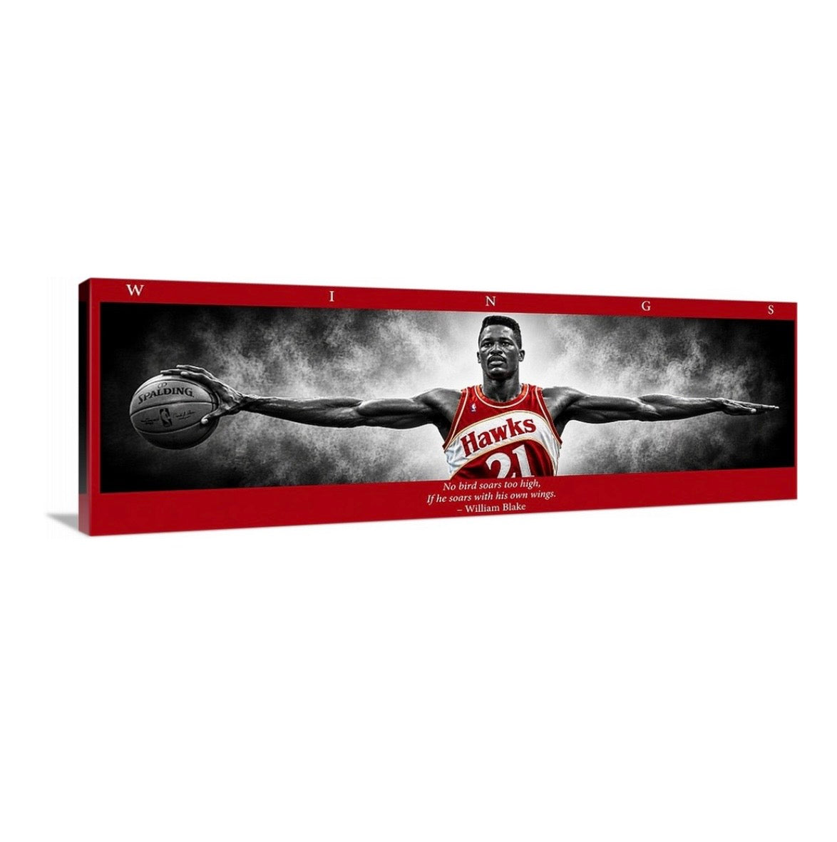 Dominique Wilkins Wings (Color Edition)