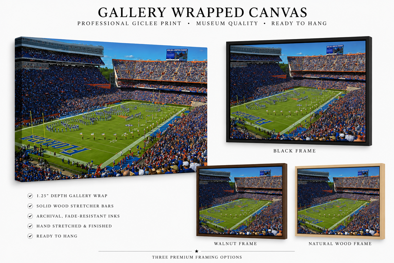 The Swamp