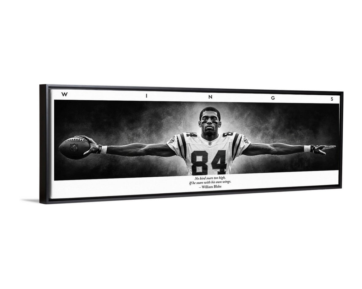 Randy Moss Wings