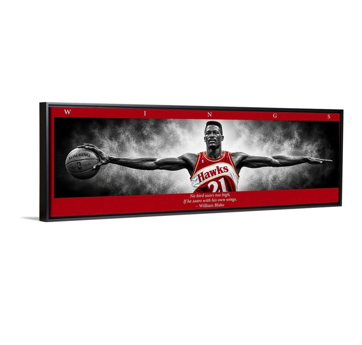 Dominique Wilkins Wings (Color Edition)