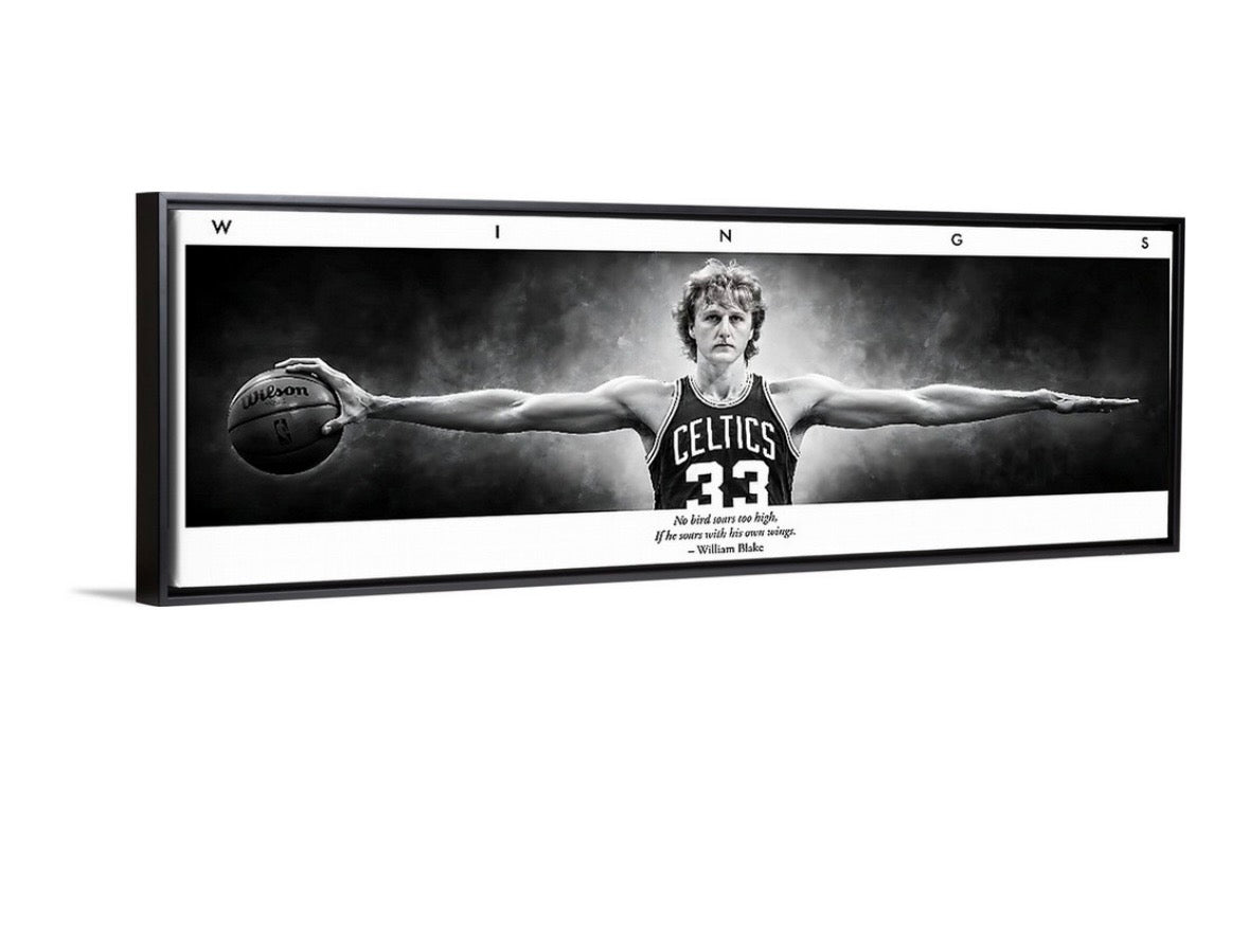 Larry Birds Wings