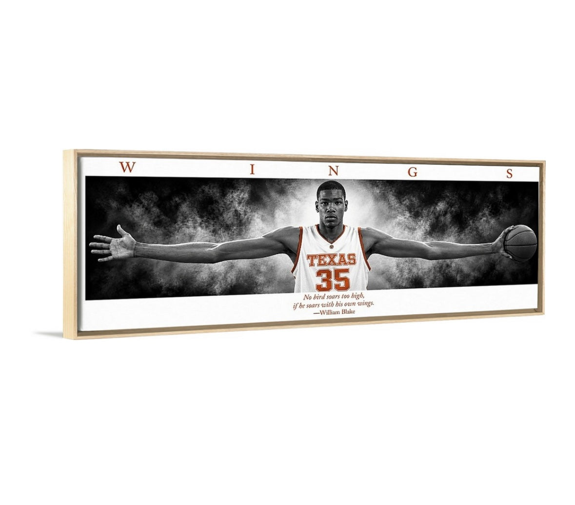 KD TX WINGS
