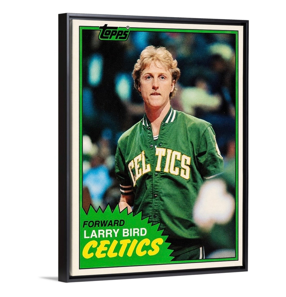 Bird '81