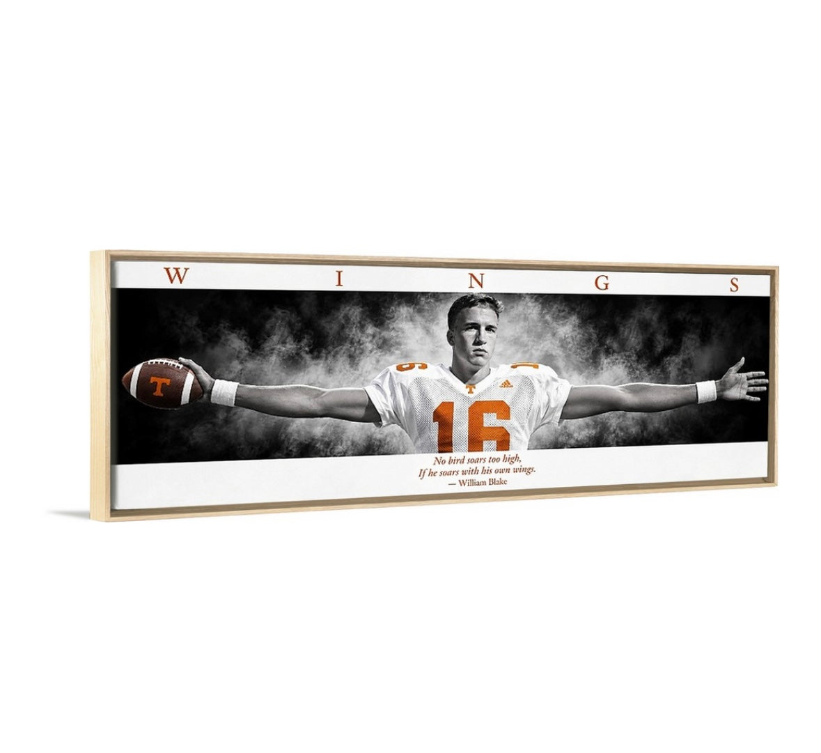 Tennessee WINGS