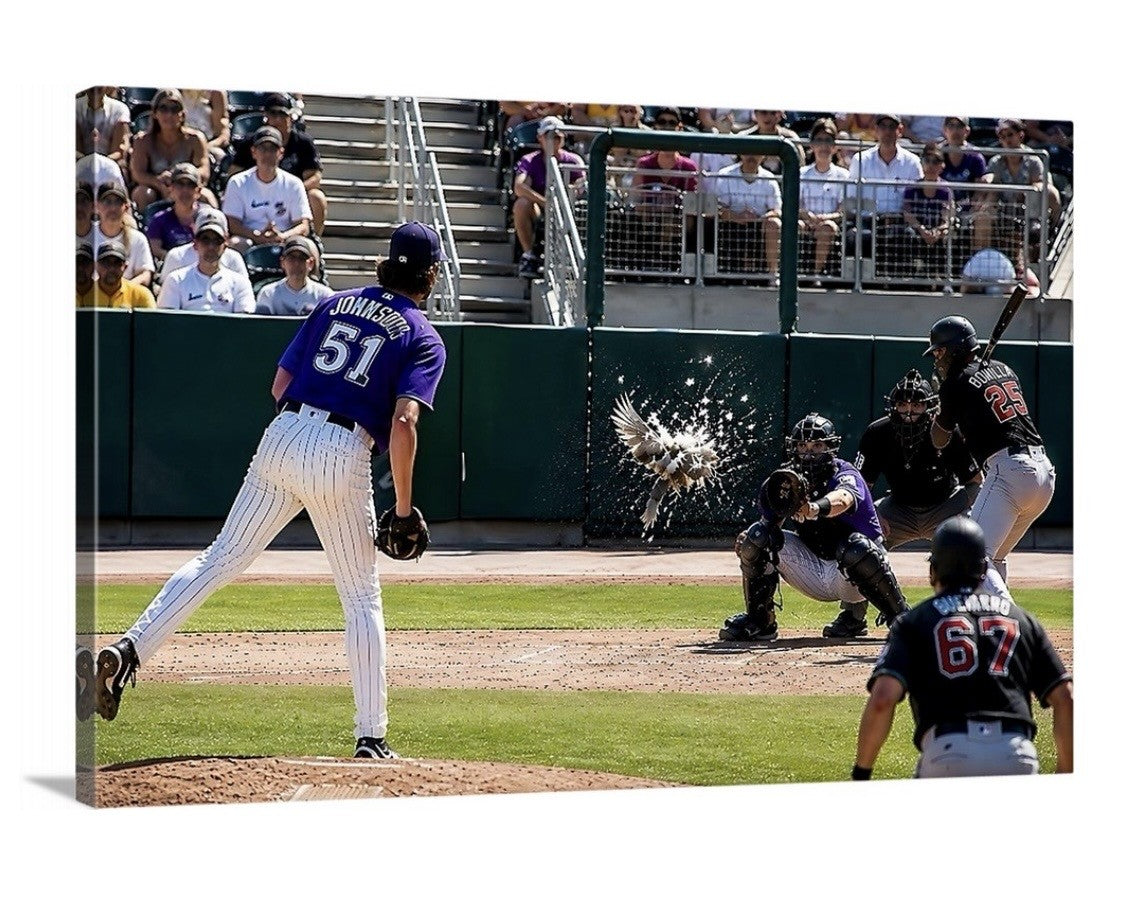 Randy Johnson Bird Massacre