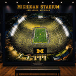 A Night in Ann Arbor