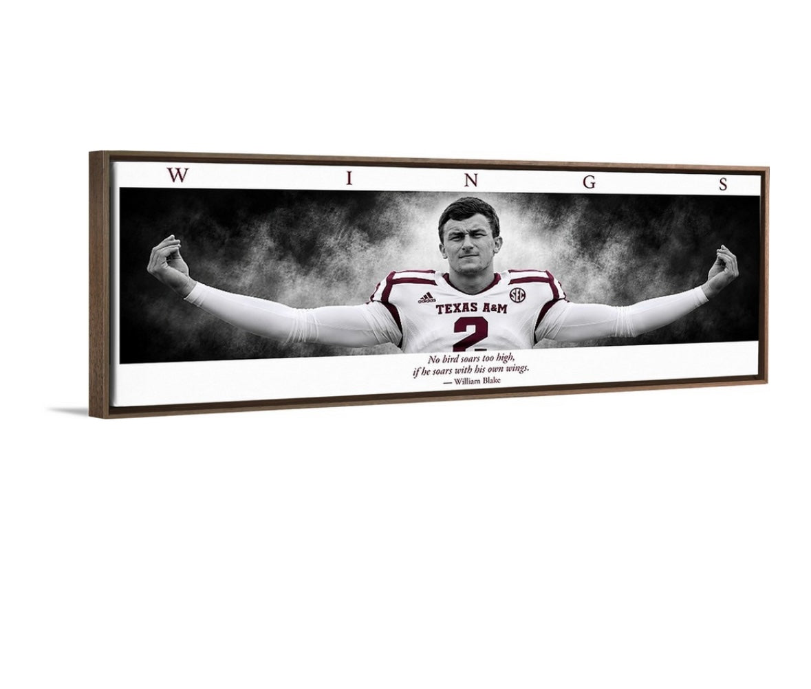 Money Manziel WINGS