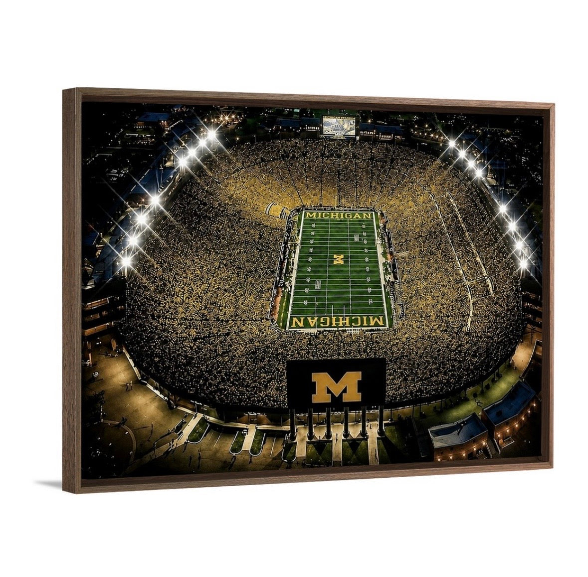 A Night in Ann Arbor