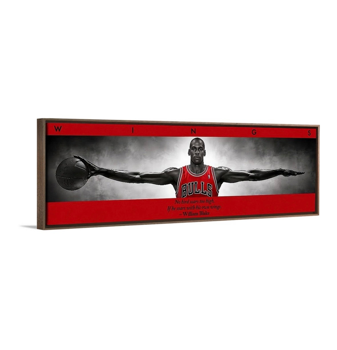 Jordan Wings (BRED Edition)