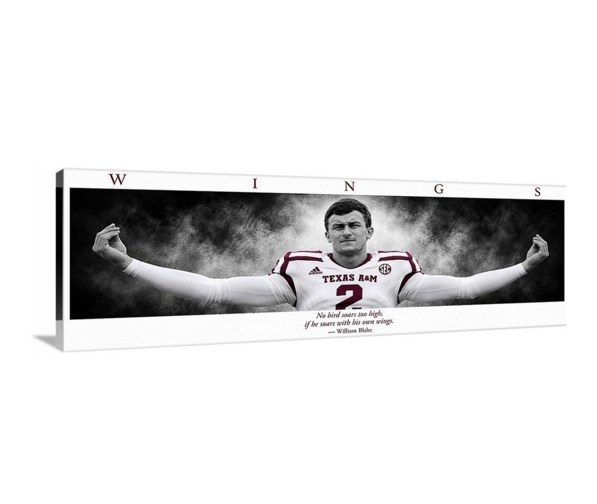 Money Manziel WINGS