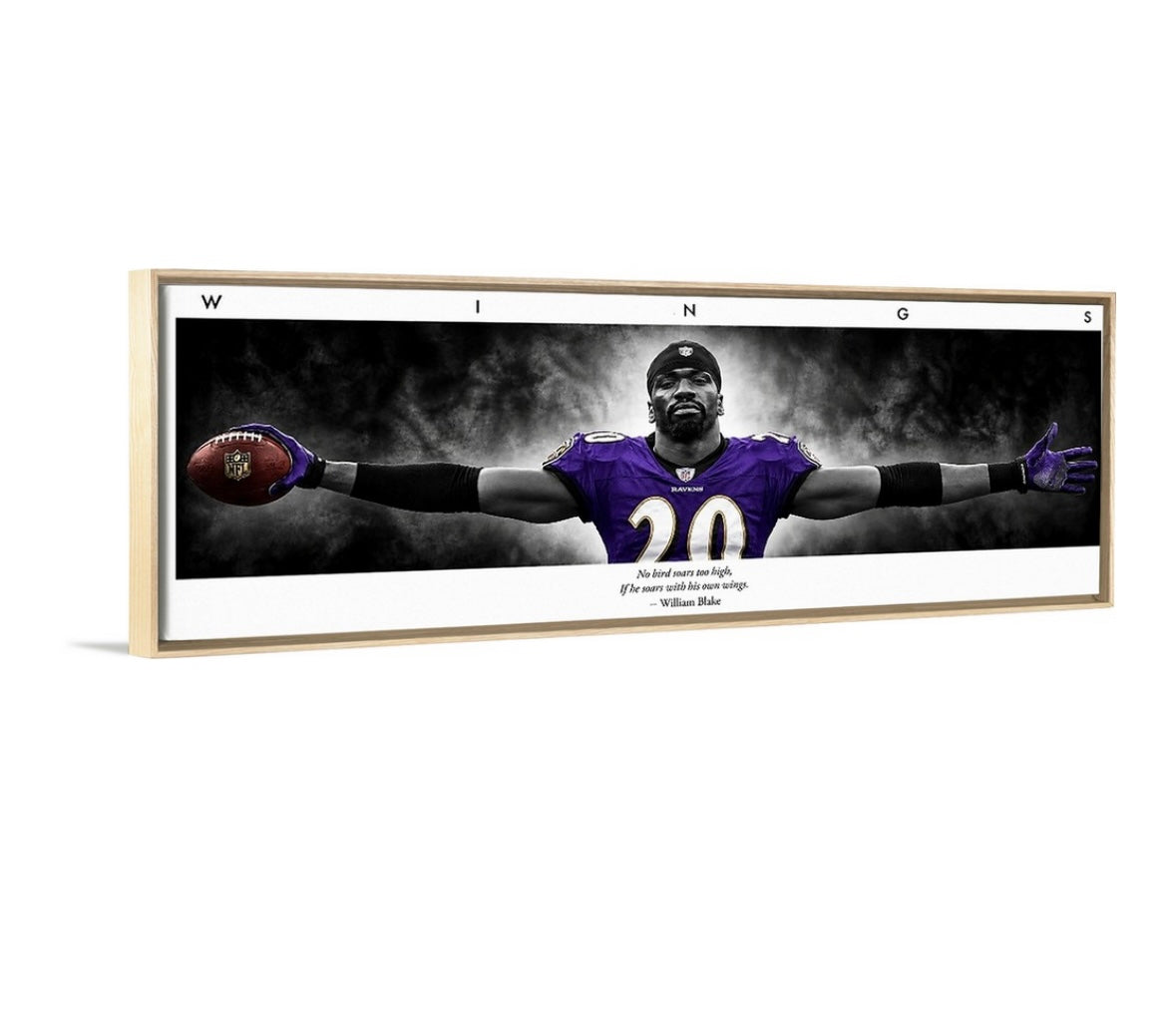 Ed Reed WINGS