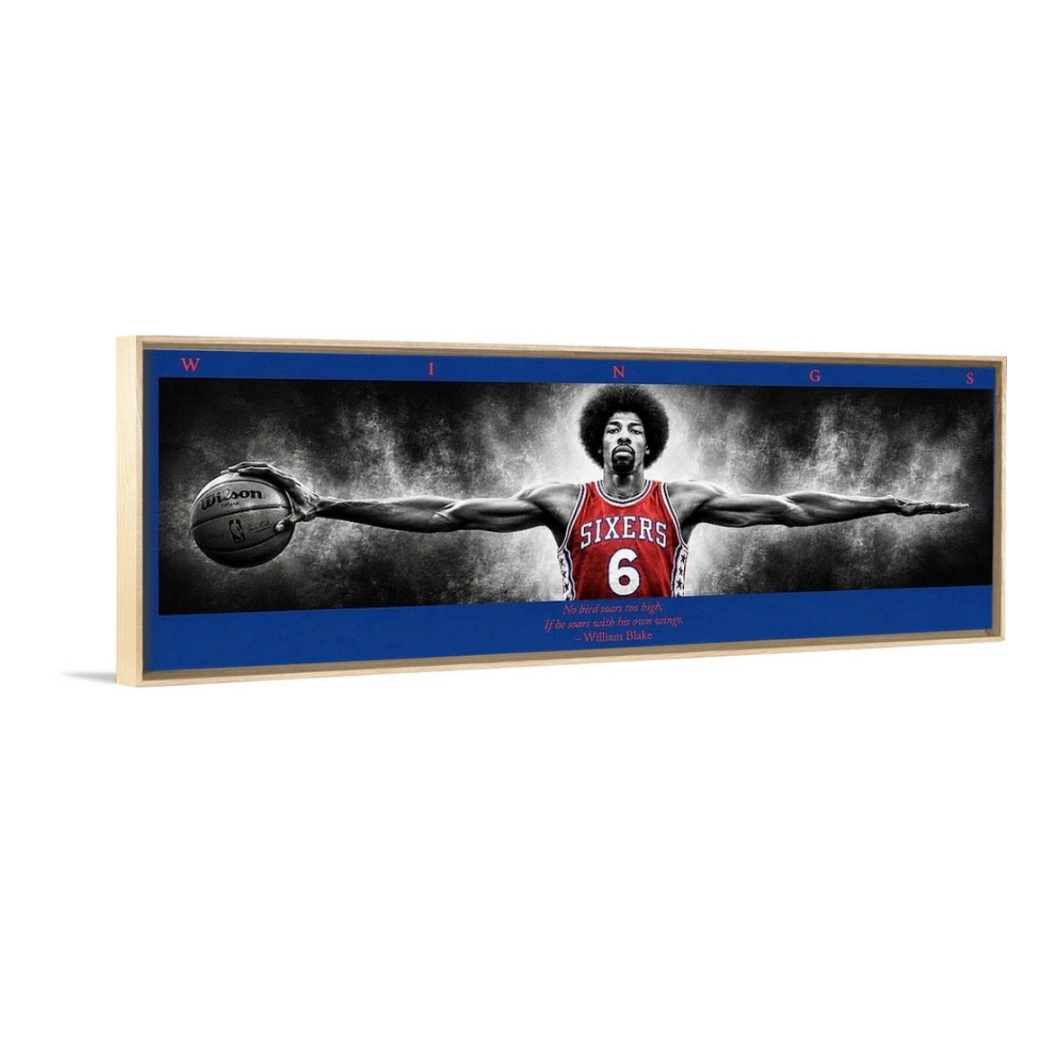 Dr. J Wings (Color Edition)