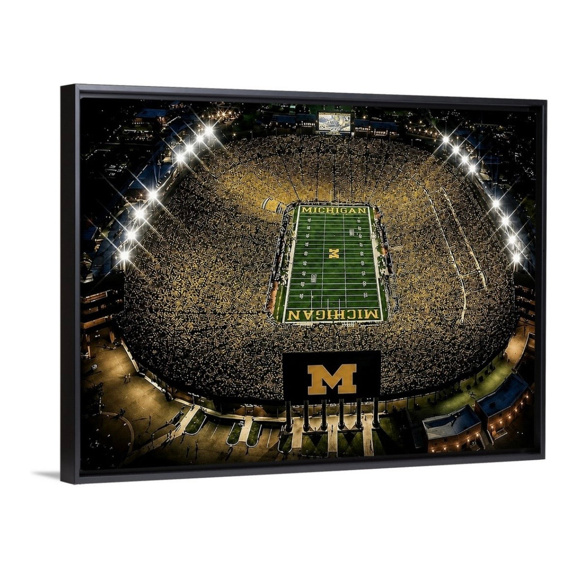 A Night in Ann Arbor