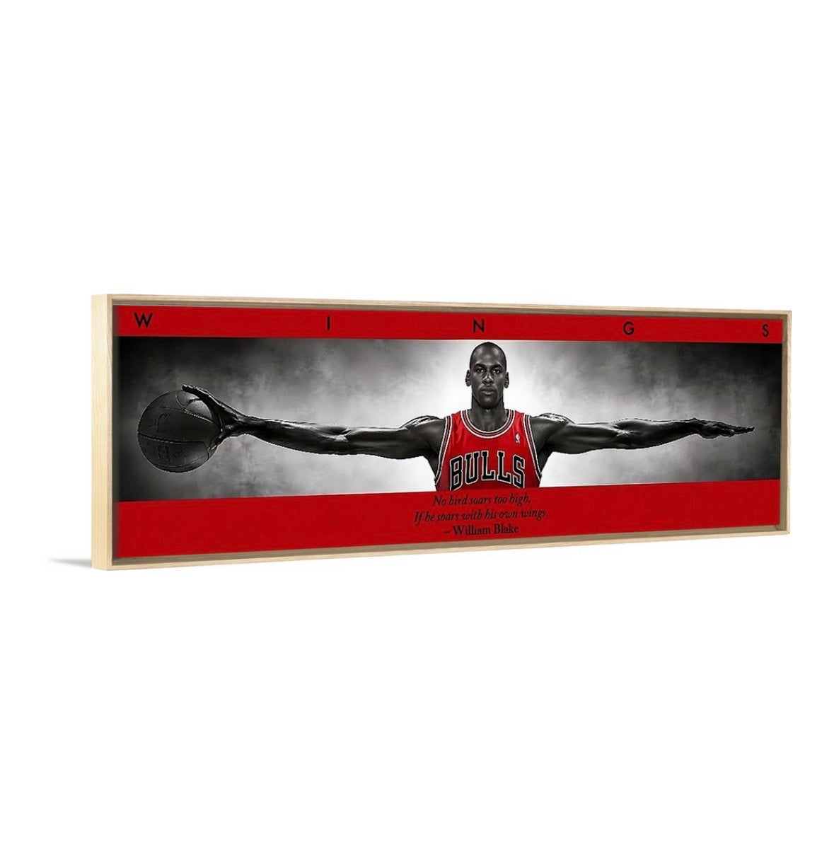 Jordan Wings (BRED Edition)