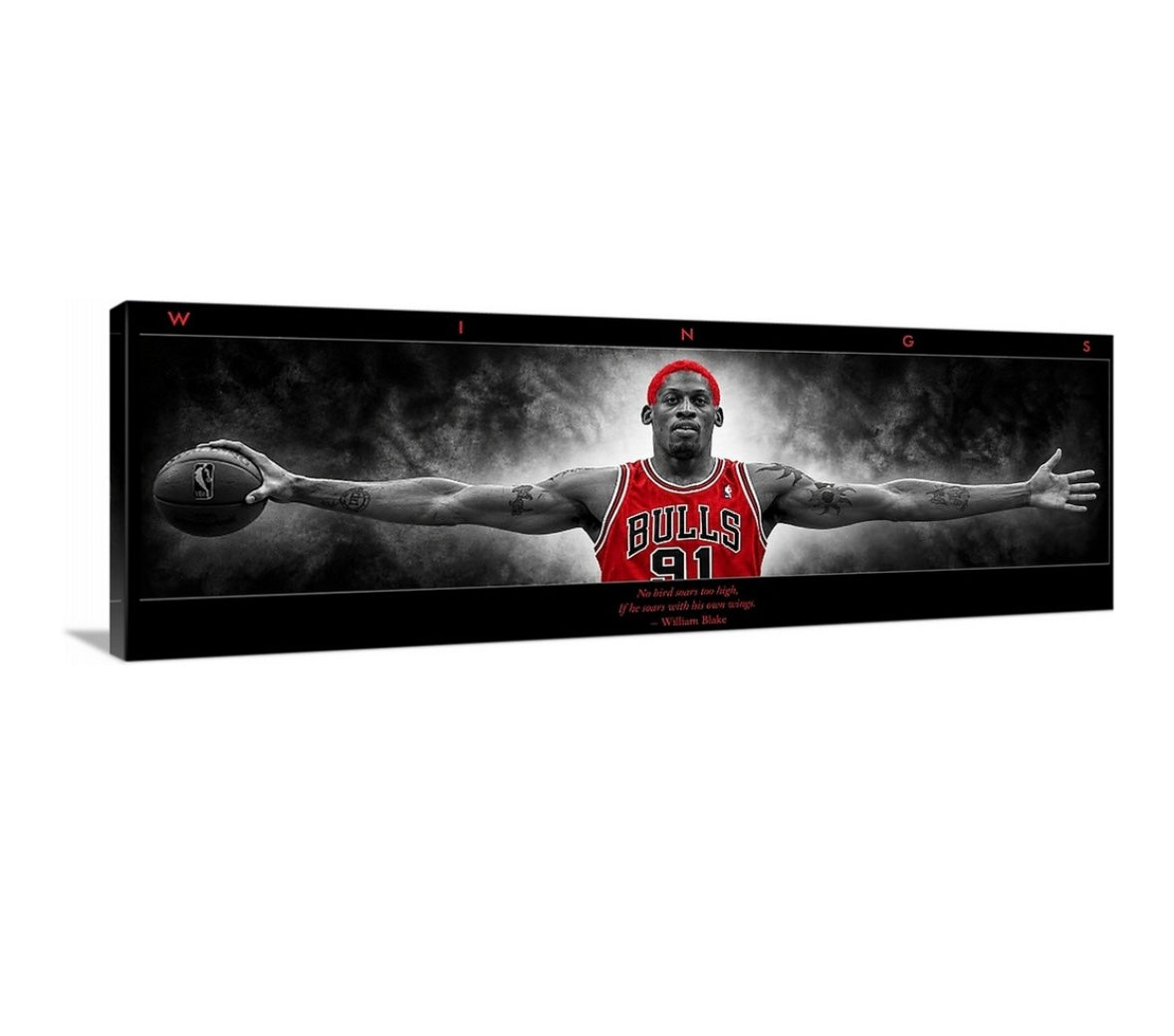 Rodman Wings (BRED Edition)