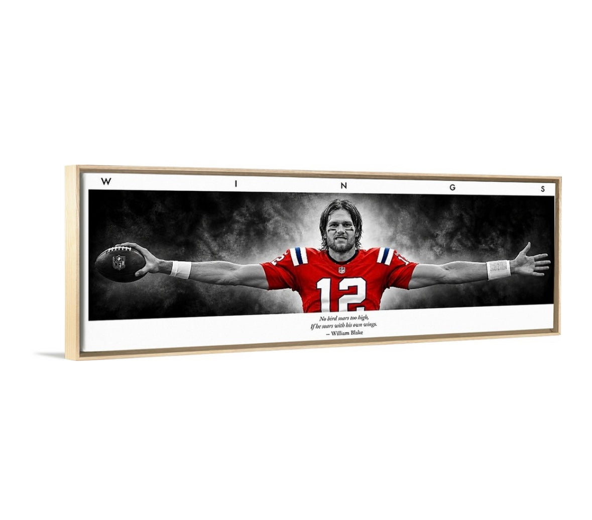 Brady Wings (Patriotic Edition)