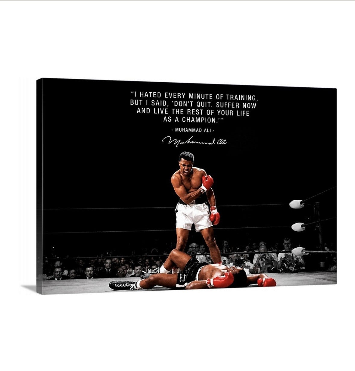 A Champions Creed