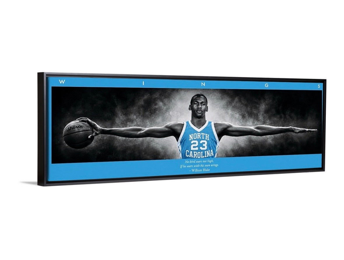 Jordan Wings (Tarheel Edition)