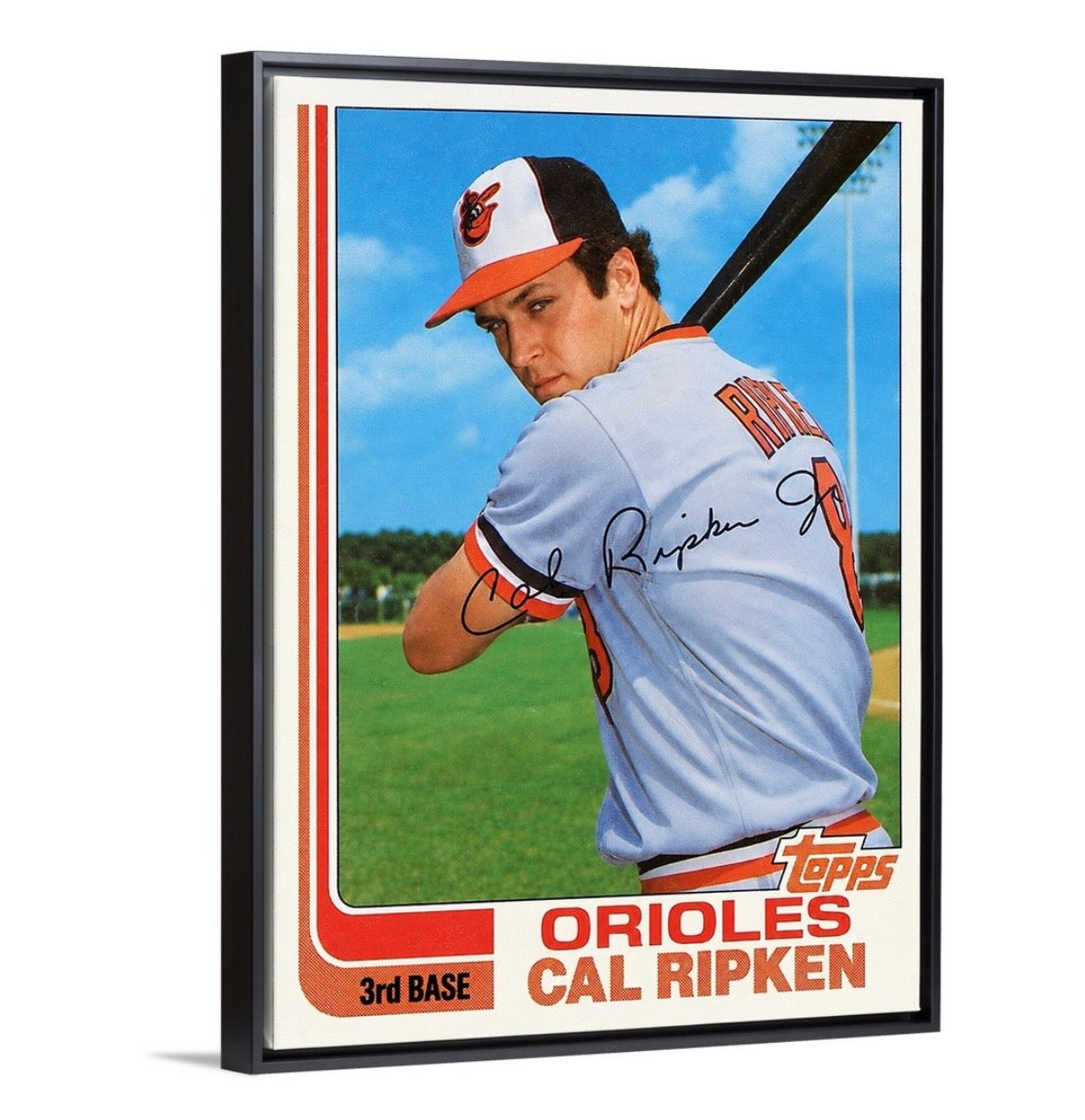Cal Ripken ‘82