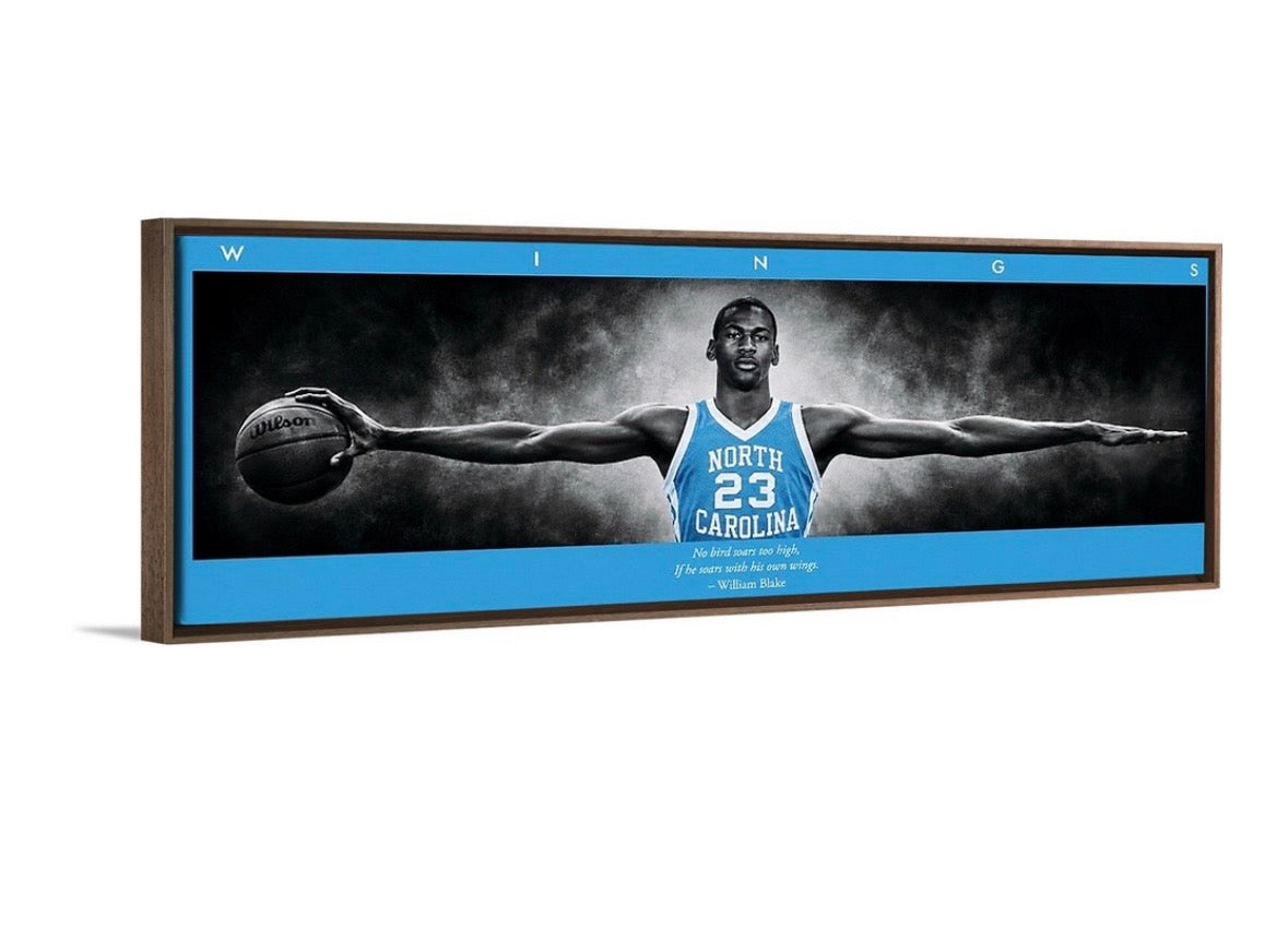 Jordan Wings (Tarheel Edition)