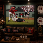 Pedro Martinez vs Don Zimmer