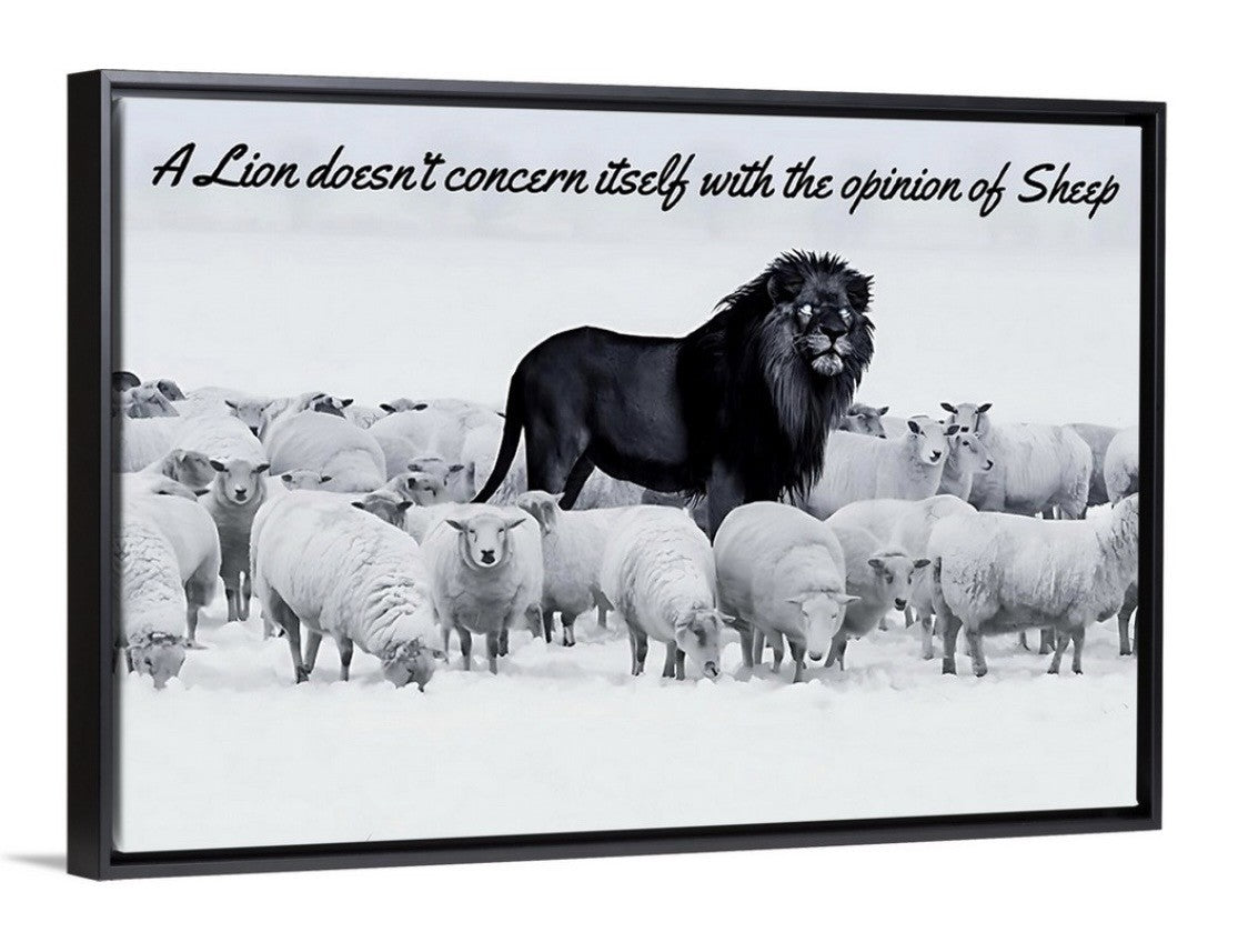 Lion among Sheep
